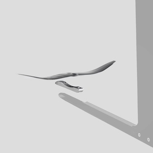 [ADPT0001ITW] IQ Foil Tail Wing Adapter